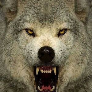 Meet your Posher, Richard